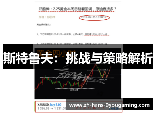 斯特鲁夫：挑战与策略解析