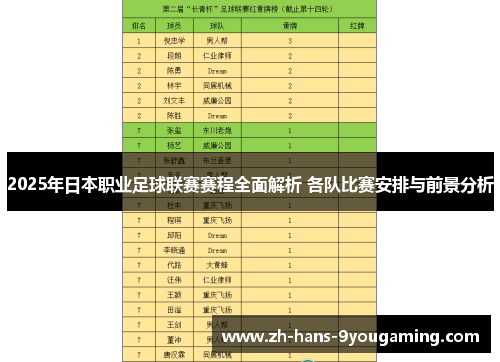 2025年日本职业足球联赛赛程全面解析 各队比赛安排与前景分析 2025年日本职业足球联赛赛程全面解析 各队比赛安排与前景分析