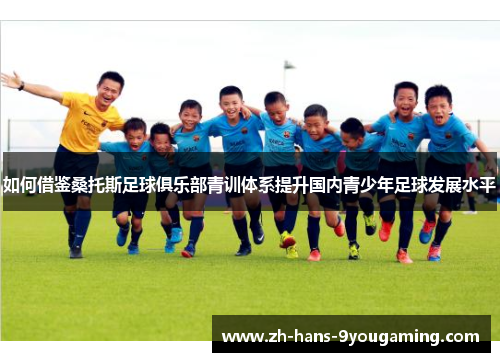 如何借鉴桑托斯足球俱乐部青训体系提升国内青少年足球发展水平
