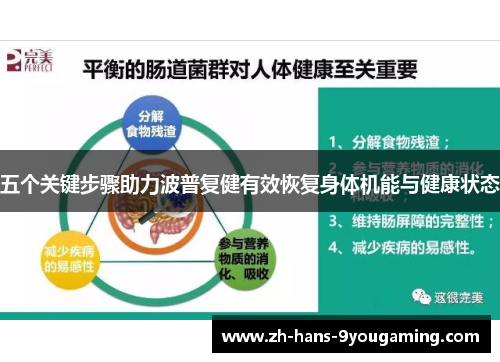 五个关键步骤助力波普复健有效恢复身体机能与健康状态 五个关键步骤助力波普复健有效恢复身体机能与健康状态