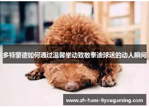 多特蒙德如何通过温馨举动致敬泰迪球迷的动人瞬间 多特蒙德如何通过温馨举动致敬泰迪球迷的动人瞬间