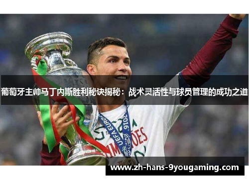 葡萄牙主帅马丁内斯胜利秘诀揭秘：战术灵活性与球员管理的成功之道