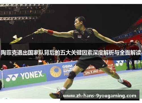陶菲克退出国家队背后的五大关键因素深度解析与全面解读