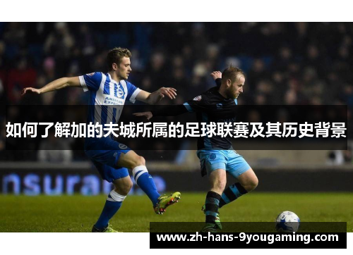 如何了解加的夫城所属的足球联赛及其历史背景