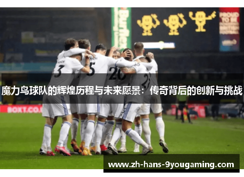 魔力鸟球队的辉煌历程与未来愿景：传奇背后的创新与挑战